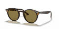 Ray-Ban RB2180 - Round Light Havana / Dark Brown Lens (710/73) Sunglasses - Color Image