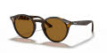 Ray-Ban RB2180 - Round Shiny Dark Havana / Polarized Brown Lens (710/83) Sunglasses - Color Image