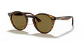 Ray-Ban RB2180 - Round Stripped Red Havana / Dark Brown Lens (820/73) Sunglasses - Color Image