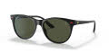 Ray-Ban RB2202M - Scuderia Ferrari Collection Black/G-15 Green (F60131) Sunglasses - Color Image