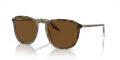 Ray-Ban RB2203 Havana/B-15 Brown (139357) Sunglasses - Color Image