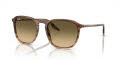 Ray-Ban RB2203 Striped Brown & Green (13920A) Sunglasses - Color Image