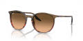 Ray-Ban RB2204 Striped Brown & Red/Pink/Black (13953B) Sunglasses - Color Image