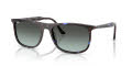 Ray-Ban RB2216 Havana Blue Turtle/Blue Vintage Gradient Black (1430GK) Sunglasses - Color Image