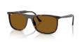Ray-Ban RB2216 Havana/Brown (902/33) Sunglasses - Color Image