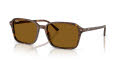 Ray-Ban RB2231 Transparent-Fantasy-Brown-Brown (141833) Sunglasses - Color Image
