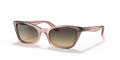 Ray-Ban RB2299 - Lady Burbank Transparent Pink / Brown Vintage Lens (1344BG) Sunglasses - Color Image