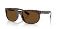 Ray-Ban RB2389 Havana/Polar-Brown (902/57) Sunglasses - Color Image