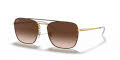 Ray-Ban RB3588 Gold Top On Brown / Brown Gradient Dark Brown Lens (905513) Sunglasses - Color Image