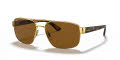Ray-Ban RB3663 Shiny Gold / Polarized Brown Lens (001/57) Sunglasses - Color Image