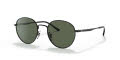 Ray-Ban RB3681 Black / Dark Green Lens (002/71) Sunglasses - Color Image