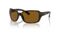 Ray-Ban RB4068 Havana/Brown (642/33) Sunglasses - Color Image