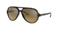 Ray-Ban RB4125M Havana / Brown Mirror Gradient Grey Lens (F6093K) Sunglasses - Color Image