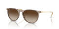 Ray-Ban RB4171F - Alternate Fit Erika Transparent Light Brown/Brown (674413) Sunglasses - Color Image