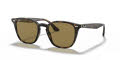 Ray-Ban RB4258 Shiny Havana / Brown Lens (710/73) Sunglasses - Color Image