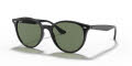 Ray-Ban RB4305 Black / Green Lens (601/71) Sunglasses - Color Image