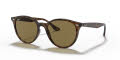 Ray-Ban RB4305 Havana / Dark Brown Lens (710/73) Sunglasses - Color Image