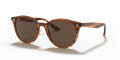 Ray-Ban RB4305 Stripped Red Havana / Dark Brown Lens (820/73) Sunglasses - Color Image