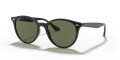 Ray-Ban RB4305 Black / Polarized Green Lens (601/9A) Sunglasses - Color Image