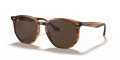 Ray-Ban RB4306 Stripped Red Havana / Dark Brown Lens (820/73) Sunglasses - Color Image
