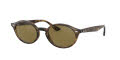 Ray-Ban RB4315 Havana / Dark Brown Lens (710/73) Sunglasses - Color Image