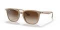 Ray-Ban RB4362 Turtledove / Gradient Brown Lens (616613) Sunglasses - Color Image