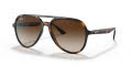 Ray-Ban RB4376 Havana / Brown Gradient Lens (710/13) Sunglasses - Color Image