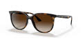 Ray-Ban RB4378F - Alternate Fit Havana / Gradient Brown Lens (710/13) Sunglasses - Color Image