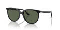 Ray-Ban RB4378 Black/Dark Green (601/71) Sunglasses - Color Image