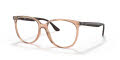 Ray-Ban RB4378V Transparent Brown (8172) Eyeglasses - Color Image