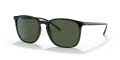 Ray-Ban RB4387 Black / Green Lens (601/71) Sunglasses - Color Image