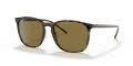 Ray-Ban RB4387 Havana / Dark Brown Lens (710/73) Sunglasses - Color Image