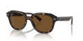 Ray-Ban RB4398 Erik Havana / Brown Polarized Lens (902-57) Sunglasses - Color Image