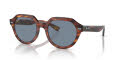 Ray-Ban RB4399 Gina Striped Havana / Blue  Lens (954-62) Sunglasses - Color Image