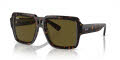 Ray-Ban RB4408 Havana/Dark Brown (135973) Sunglasses - Color Image