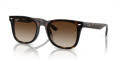Ray-Ban RB4420 Havana - Brown Lens (710/13) Sunglasses - Color Image