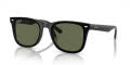 Ray-Ban RB4420 Black / Dark Green (601/9A) Sunglasses - Color Image
