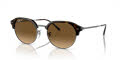 Ray-Ban RB4429 Havana On Gunmetal - Brown Lens (710/M2) Sunglasses - Color Image