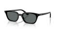 Ray-Ban RB4456 Black/Dark Grey Polar (667781) Sunglasses - Color Image
