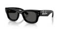 Ray-Ban RB4940B - PUFFER CRYSTAL EDITION Black & Strass/Dark Grey (686487) Sunglasses - Color Image