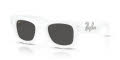 Ray-Ban RB4940B - PUFFER CRYSTAL EDITION White & Strass/Dark Grey (686387) Sunglasses - Color Image