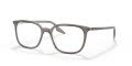 Ray-Ban RB5406 Grey on Transparent (8111) Eyeglasses - Color Image