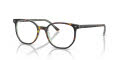 Ray-Ban RB5397 - Elliot Optics Havana On Transparent Green (8249) Eyeglasses - Color Image