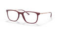 Ray-Ban RB7244 Red Cherry (8099) Eyeglasses - Color Image