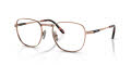 Ray-Ban RB8258V Rose Gold (1236) Eyeglasses - Color Image