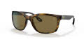 Ray-Ban RB8356M Havana / Dark Brown Lens (F64673) Sunglasses - Color Image