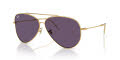 Ray-Ban RBR0101S Arista Gold/Violet (001/1A) Sunglasses - Color Image