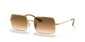 Ray-Ban RB1969 Gold / Clear Gradient Brown (914751) Sunglasses - Color Image