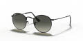 Ray-Ban RB3447N Black / Gray Green Lens (002/71) Sunglasses - Color Image