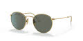 Ray-Ban RB8247 Legend Gold / Green Polarized Lens (921658) Sunglasses - Color Image